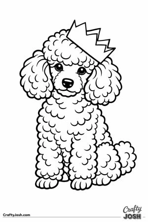 Miniature poodle with a paper crown sliding off its head