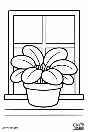 Potted plant sitting on the classroom windowsill
