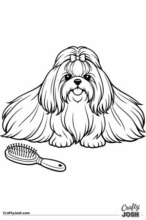 Shih tzu brushed out to twice its actual width