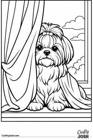 Shih tzu half hidden behind the curtain on the windowsill