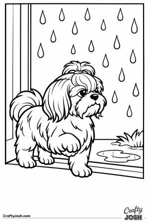 Shih tzu in the doorway deciding against the rain