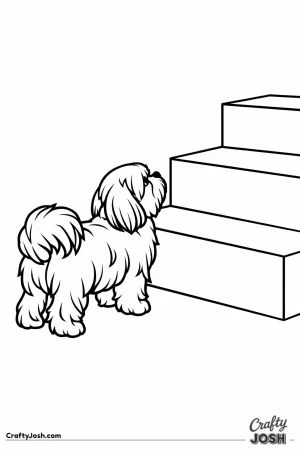 Shih tzu looking up at a step nearly as tall as itself