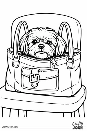 Shih tzu riding along inside an open handbag