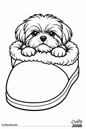 Shih tzu sitting inside a single slipper