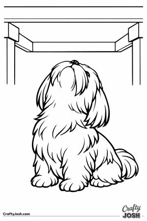 Shih tzu tipping its head back to look up at the table