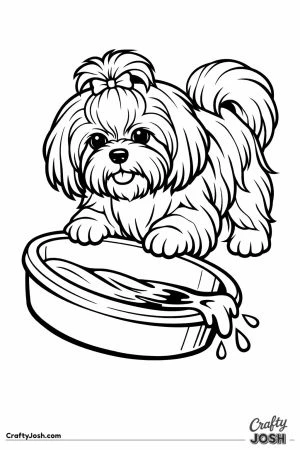 Shih tzu tipping up the water bowl with its paws