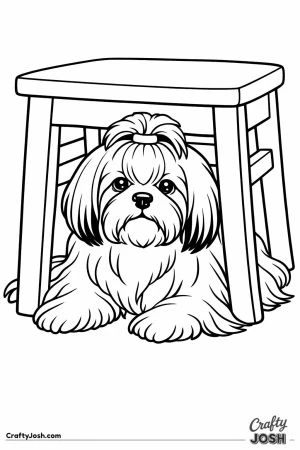 Shih tzu tucked underneath a chair like a shelter