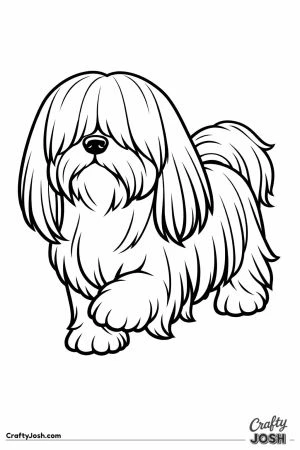 Shih tzu walking along with its coat over its eyes