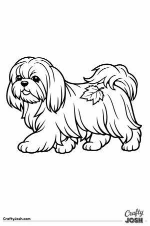 Shih tzu walking with a leaf caught in its coat