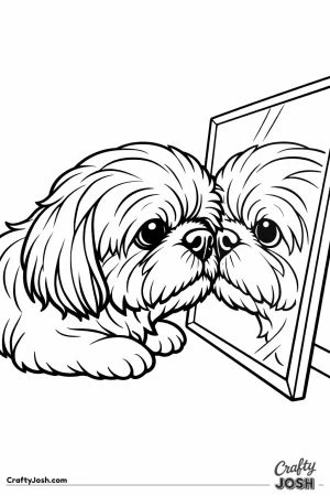 Shih tzu with its nose right up against the mirror