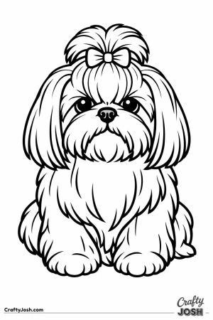 Shih tzu with its topknot tied up out of its face