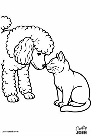 Standard poodle meeting a cat nose to nose