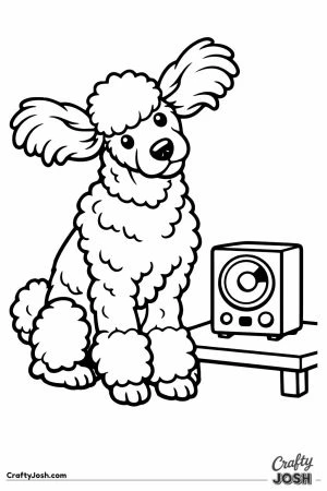 Standard poodle tilting its head at a speaker on the table