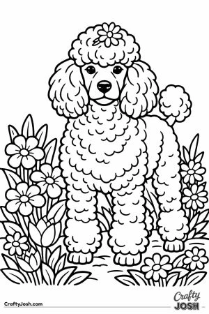 Standard poodle with a flower caught in its topknot