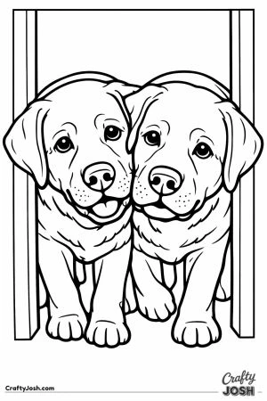 Two labradors jammed in the same doorway together