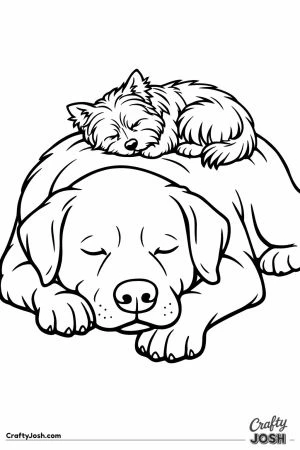 Yorkshire terrier asleep on a much bigger dogs back