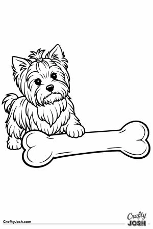 Yorkshire terrier beside a bone longer than it is