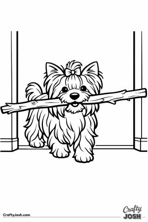 Yorkshire terrier carrying a twig far too long for it