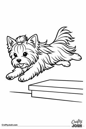 Yorkshire terrier leaping off a step with its legs outstretched