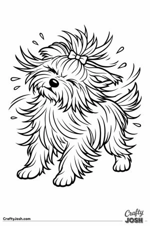 Yorkshire terrier mid shake with its silky coat flying out