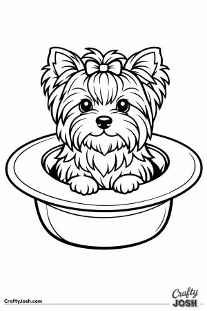 Yorkshire terrier sitting inside an upturned hat
