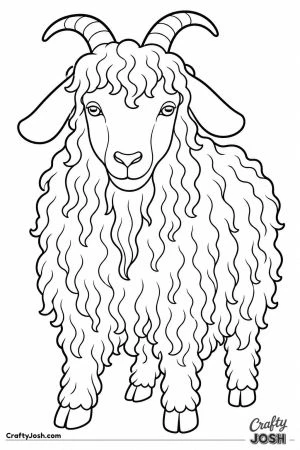 Angora goat with long curly hair
