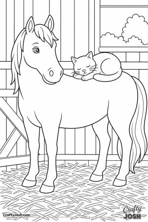 Barn cat asleep on a horse back in the stable