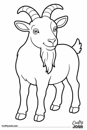 Billy goat with a long beard