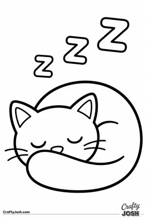 Black cat curled up asleep