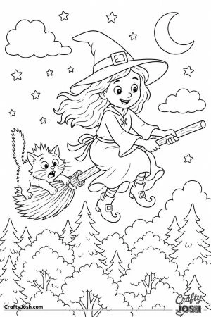 Black cat hanging on to the back of a broom