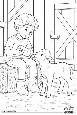 Boy bottle feeding a lamb in the barn