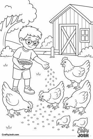Boy scattering corn for the chickens