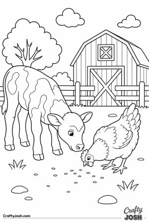 Calf meeting a chicken in the farmyard