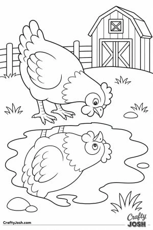 Chicken looking at its reflection in a puddle