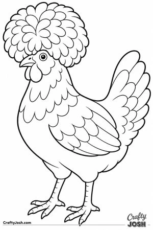 Chicken with a big pom pom crest