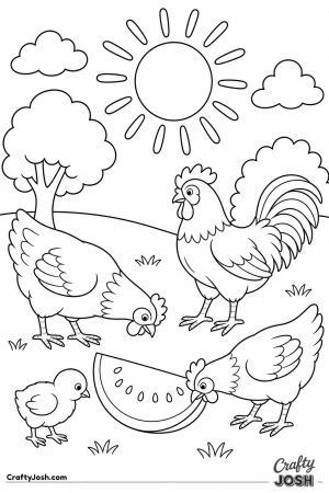 Chickens eating watermelon on a hot day