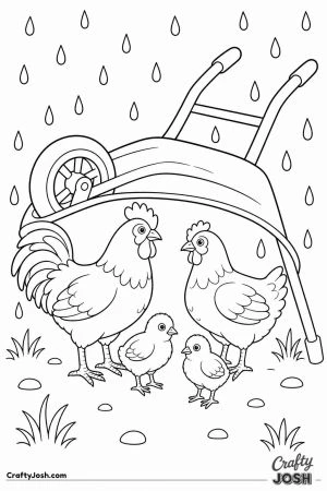 Chickens sheltering under a wheelbarrow in the rain