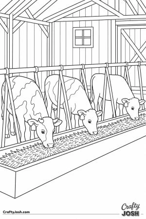 Cows eating hay through the barn feeder