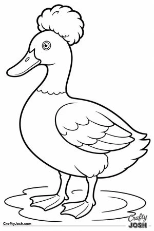 Crested duck with a pom pom on its head