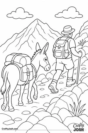 Donkey carrying packs up a mountain path