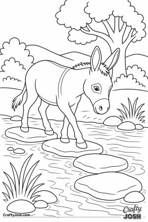 Donkey crossing a stream carefully