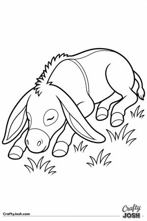 Donkey foal asleep in the grass
