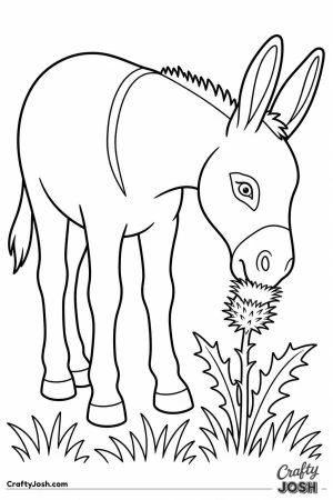 Donkey nibbling a thistle