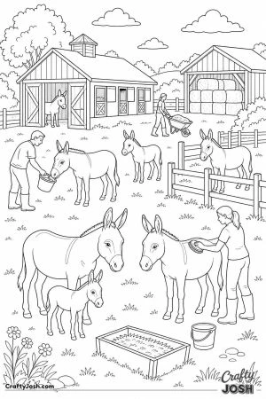 Donkey sanctuary with stables and paddocks