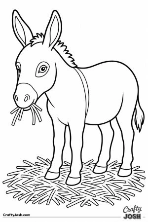 Donkey standing in a hay pile