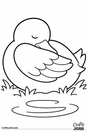 Duck asleep with its bill tucked under its wing