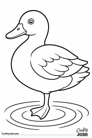 Duck balancing on one leg