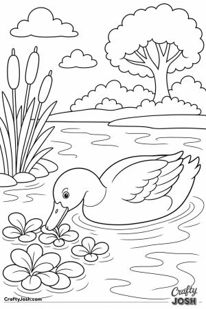 Duck eating water plants