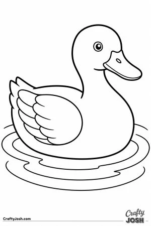 Duck floating on a pond