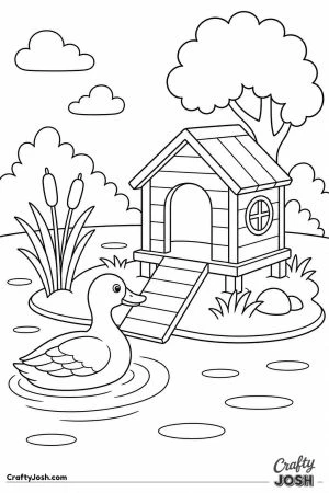 Duck house on a little island